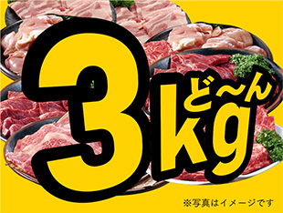 写真／お肉だけ10人前