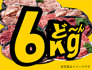 写真／お肉だけ20人前